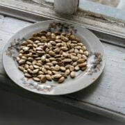 A plate of sunflower seeds on a window sill.