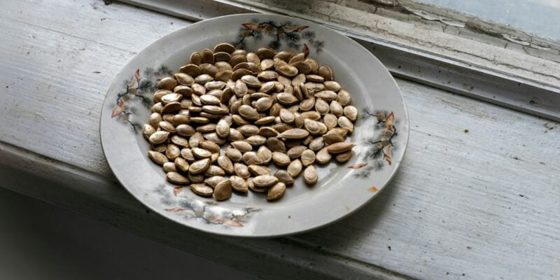 A plate of sunflower seeds on a window sill.