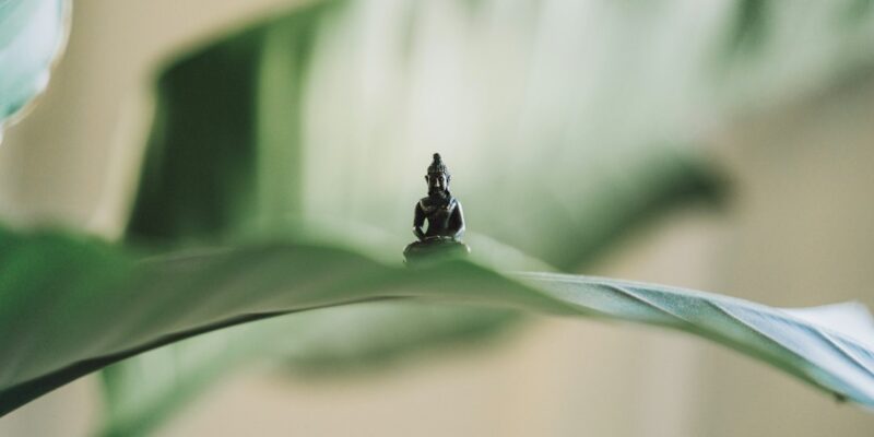 A small figurine on a leaf.