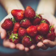 A woman's hands holding a bunch of strawberries.