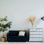 A couch and a plant in a room.