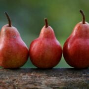 A group of red pears on a log.