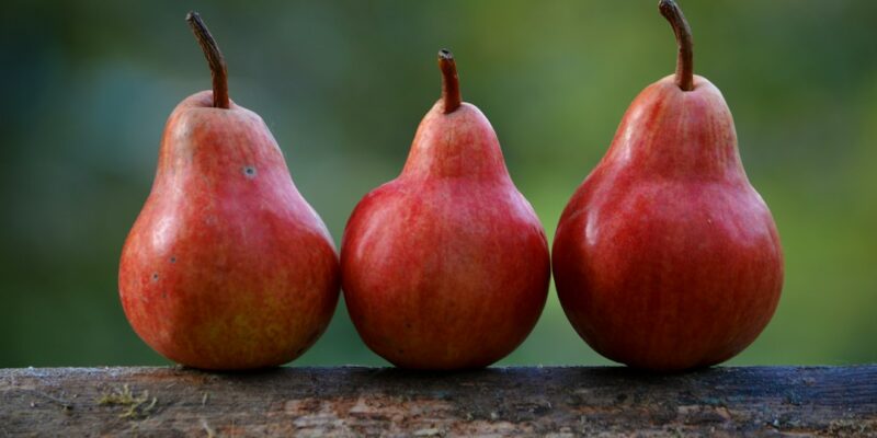 A group of red pears on a log.