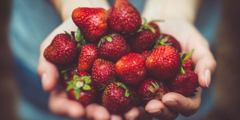 A woman's hands holding a bunch of strawberries.