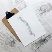 A clipboard with a drawing of a spine on it.