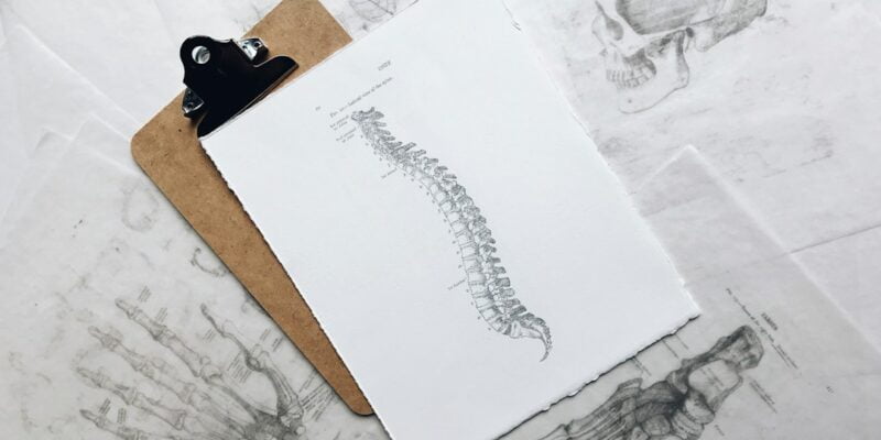 A clipboard with a drawing of a spine on it.