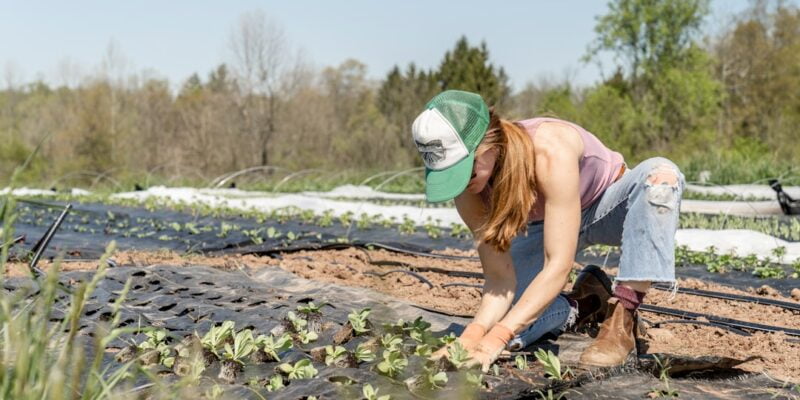 Photo farmer mac loan programs