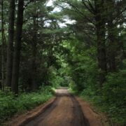 Photo liteboxer punch track