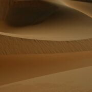 Photo dune 2 movie review