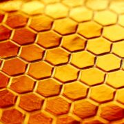 Photo best honey for immune system