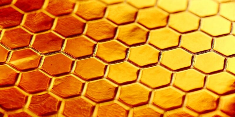 Photo best honey for immune system