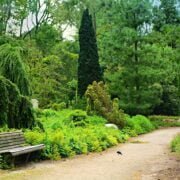 A bench in a park.