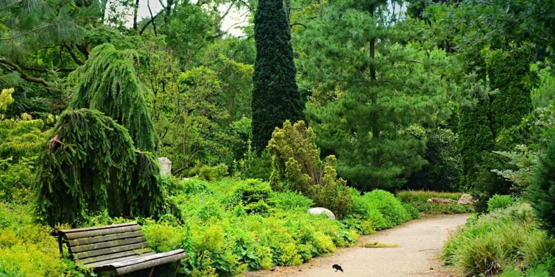 A bench in a park.