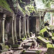 Photo Jungle ruins