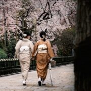 Photo Kyoto, Cherry Blossom