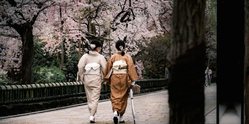 Photo Kyoto, Cherry Blossom