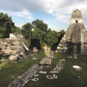 Photo Jungle ruins