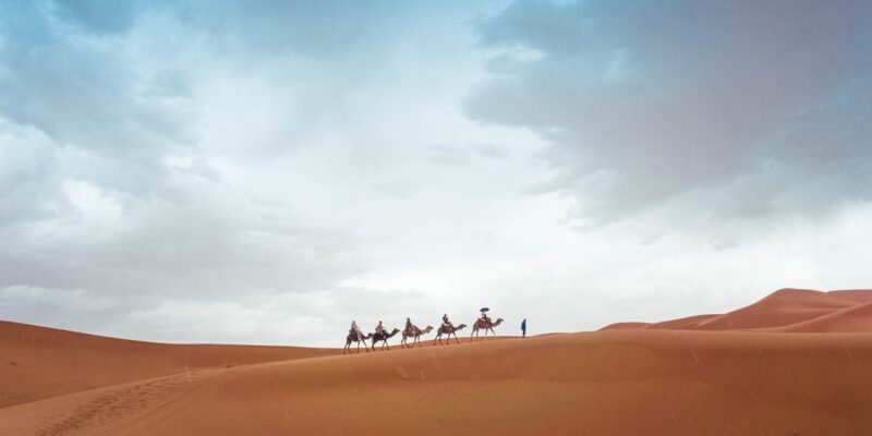 Photo Camels, Dunes