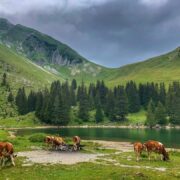 Photo Mountain landscape