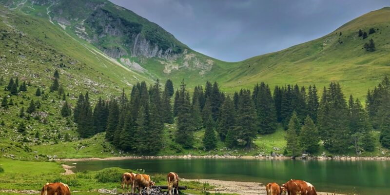 Photo Mountain landscape