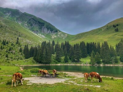 Photo Mountain landscape