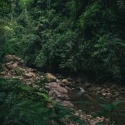 Photo Amazon River