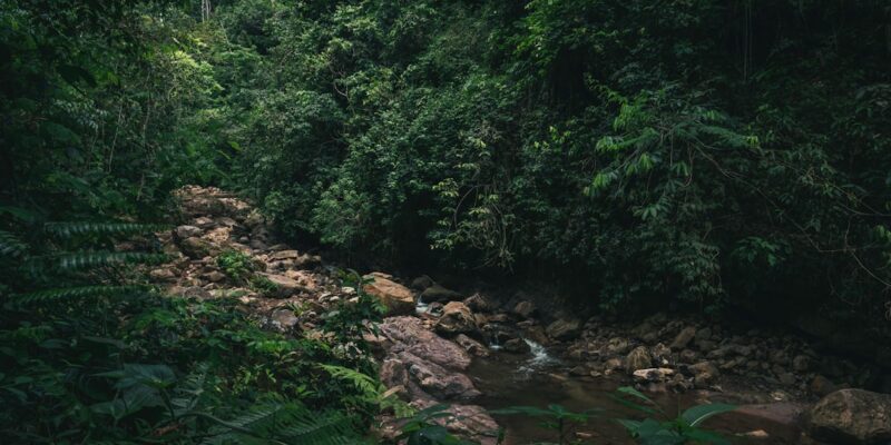 Photo Amazon River