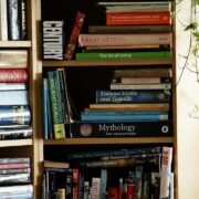 Photo Bookstore shelves