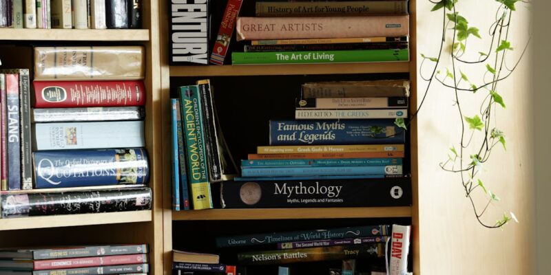 Photo Bookstore shelves