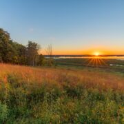 Photo Marsh landscape