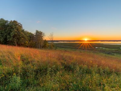 Photo Marsh landscape