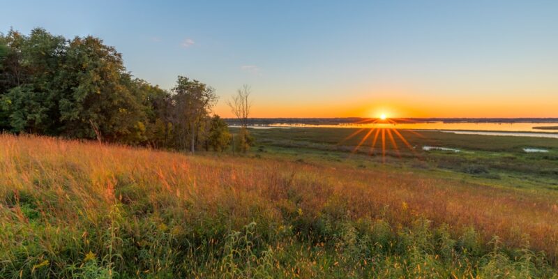 Photo Marsh landscape