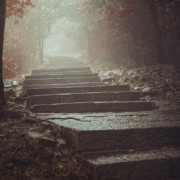 Stone steps ascend through a misty forest, bordered by trees with reddish-brown leaves. The path is damp, reflecting the muted light filtering through the fog. The atmosphere is serene and mysterious, inviting exploration deeper into the hazy distance.