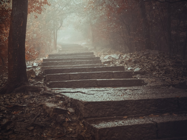 Stone steps ascend through a misty forest, bordered by trees with reddish-brown leaves. The path is damp, reflecting the muted light filtering through the fog. The atmosphere is serene and mysterious, inviting exploration deeper into the hazy distance.